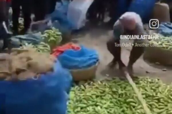भागलपुर में परवल की कीमत ₹2 प्रति किलो, किसानों ने फसल बर्बाद की भागलपुर में परवल की कीमत ₹2 प्रति किलो, किसानों ने फसल बर्बाद की