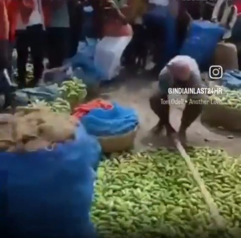 भागलपुर में परवल की कीमत ₹2 प्रति किलो, किसानों ने फसल बर्बाद की