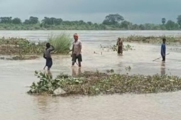 जहानाबाद में फल्गु नदी में उफान, तीन गांव जलमग्न; धान के बीज डूबे, प्रशासन अलर्ट