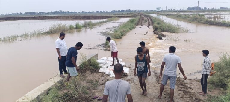 खुसरूपुर टाल क्षेत्र में बाढ़ का कहर, नदियां उफनीं, तटबंध टूटे, फसलें बर्बाद
