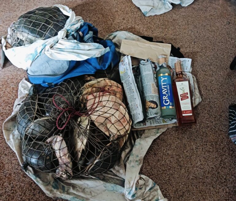 रेलवे पुलिस ने 11 लाख रुपए की 22 डॉल्फिन टर्टल प्रजाति के कछुए किए जब्त, साथ में विदेशी शराब बरामद